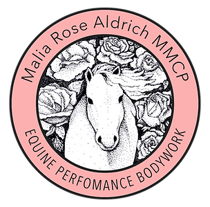 3 Malia Rose Aldrich Equine Performance Bodywork Sessions